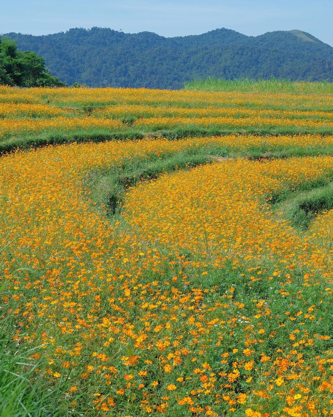 Tour 2N1Đ I Khám phá Thung lũng Mai Châu và trải nghiệm văn hoá người dân tộc Thái khởi hành từ Hà Nội