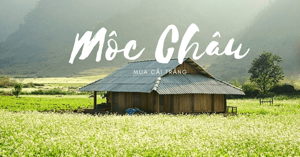 Tour 3N2Đ I Khám phá Thung lũng Mai Châu và Cao nguyên Mộc Châu I Hà Nội 