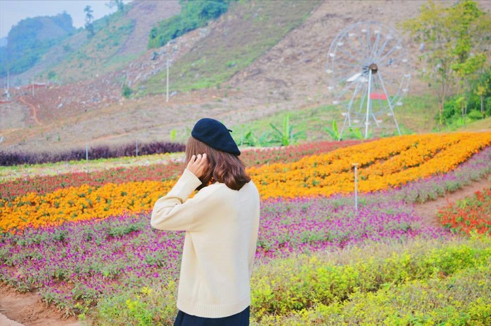 Tour 3N2Đ I Khám phá Thung lũng Mai Châu và Cao nguyên Mộc Châu I Hà Nội 