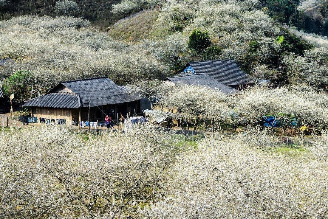 Tour 3N2Đ I Khám phá Thung lũng Mai Châu - Khu bảo tồn thiên nhiên Pù Luông - Trải nghiệm văn hoá người dân tộc Thái I Khởi hành từ Hà Nội