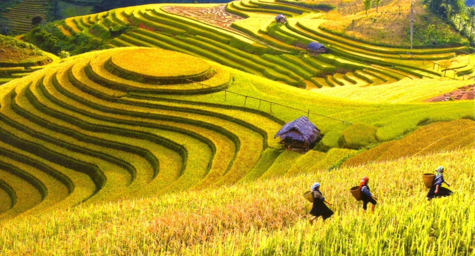 Tour 2N1Đ I Khám phá Thung lũng Mai Châu và Khu bảo tồn thiên nhiên Pù Luông khởi hành từ Hà Nội