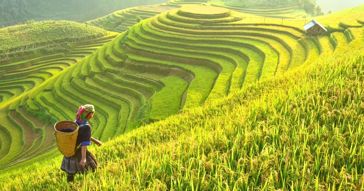 2D1N Tour | Sapa Sightseeing and Village Trekking Tour departing from Hanoi by D-Car | Sapa