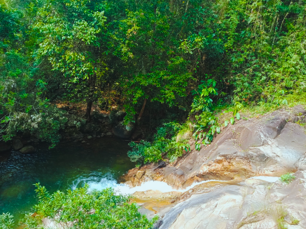 Tour trong ngày I Tour riêng Trekking khám phá Rừng nguyên sinh Núi Hòn Bà I Nha Trang