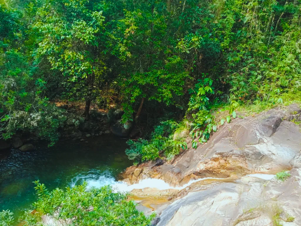 Day Tour | Private Trekking Tour to Explore the Pristine Forests of Hon Ba Mountain | Nha Trang