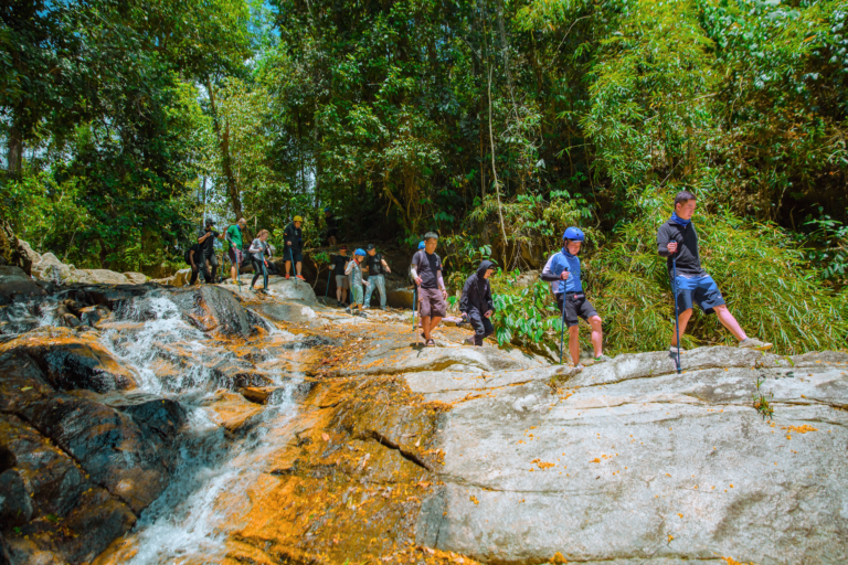 Tour trong ngày I Tour riêng Trekking khám phá Rừng nguyên sinh Núi Hòn Bà I Nha Trang