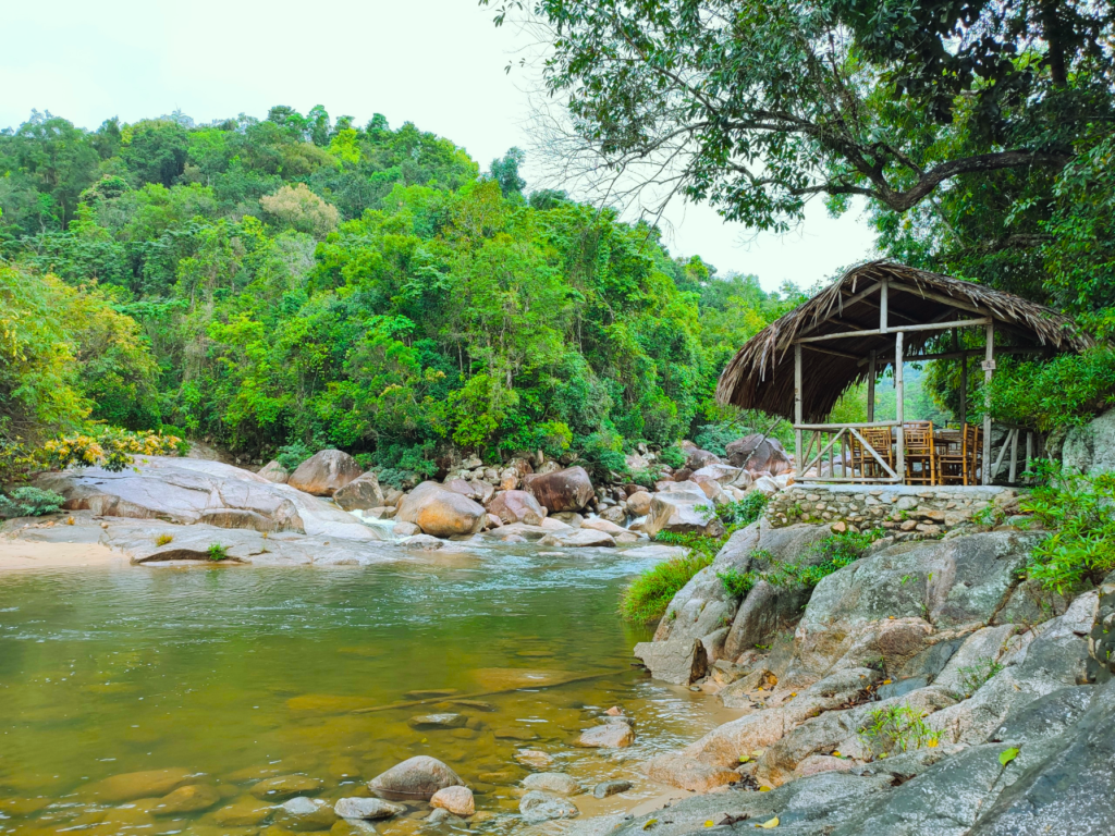 Tour trong ngày I Tour riêng Trekking khám phá Rừng nguyên sinh Núi Hòn Bà I Nha Trang