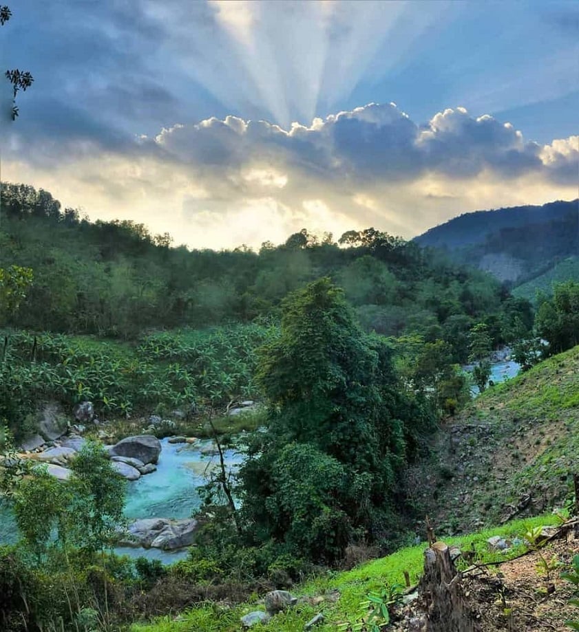 Tour trong ngày I Tour riêng Trekking khám phá Rừng nguyên sinh Núi Hòn Bà I Nha Trang