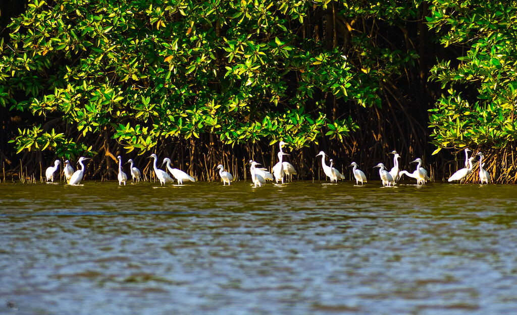 Day Tour | Discover Con Chim and Experience SUP Rowing | Quy Nhon