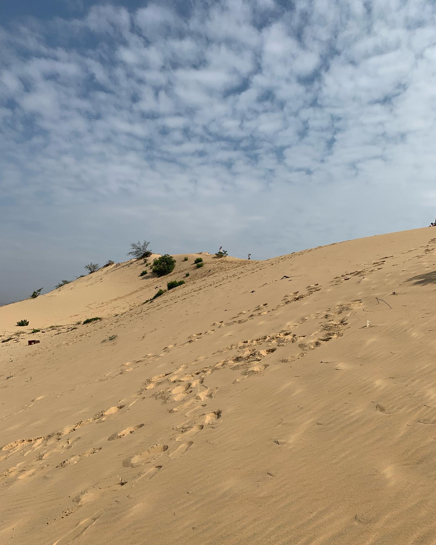 Day tour | Visit Ky Co Island - Eo Gio and Experience at Phuong Mai Sand Dunes | Quy Nhon