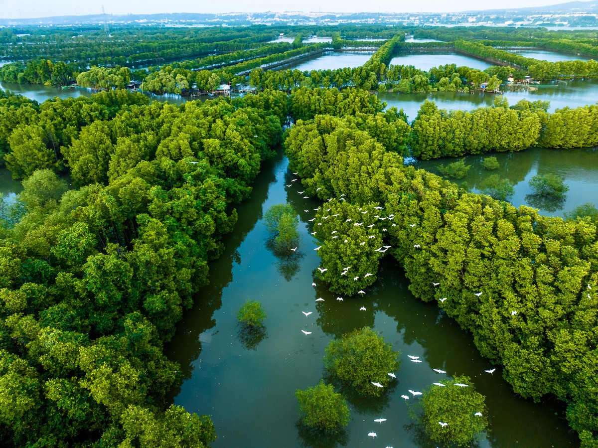 Tour trong ngày I Khám phá Cồn Chim và trải nghiệm trèo Sup I Quy Nhơn