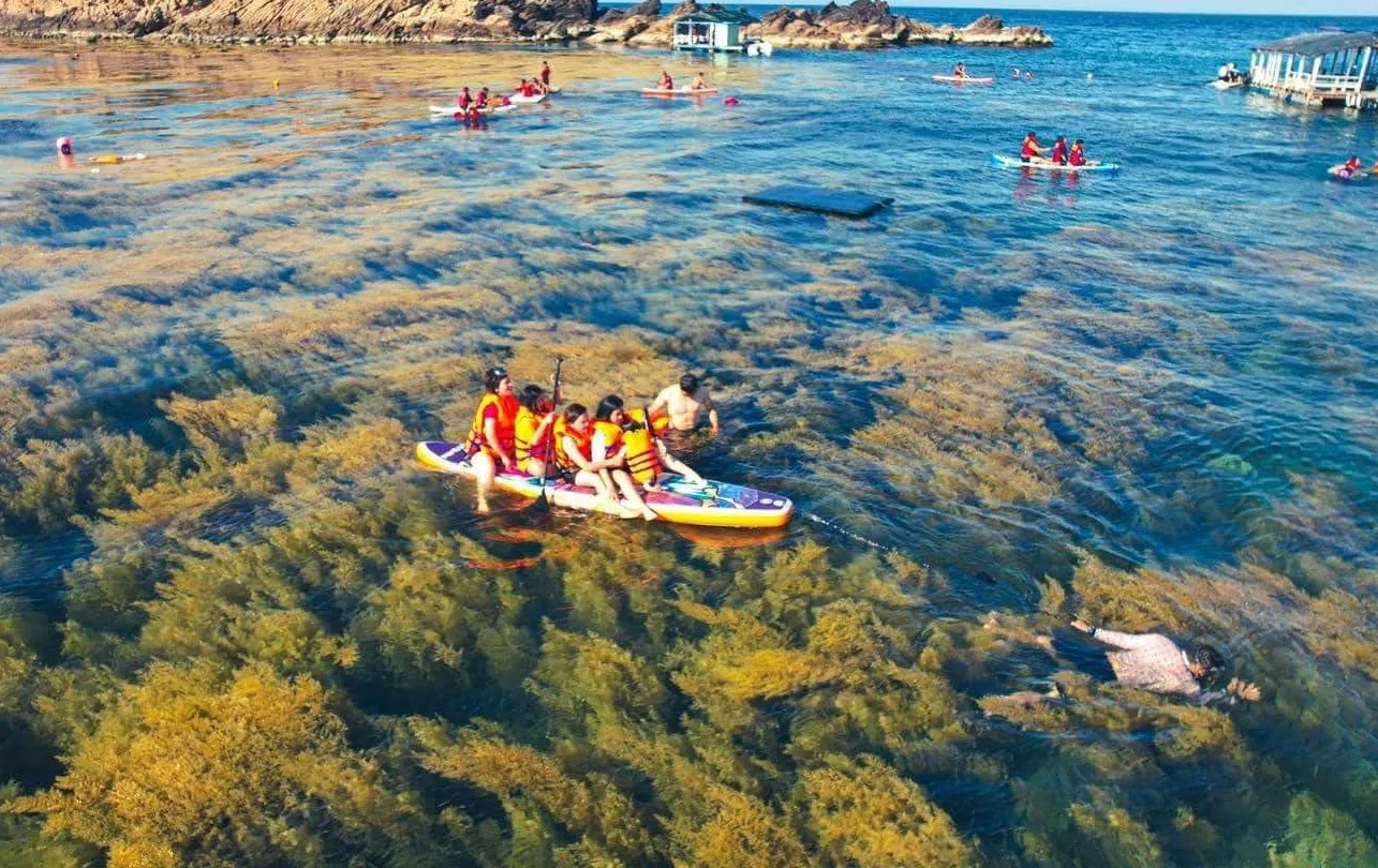 Tour trong ngày I Khám phá Hòn Khô - Lặn San hô và dùng bữa trưa hải sản tươi ngon I Quy Nhơn