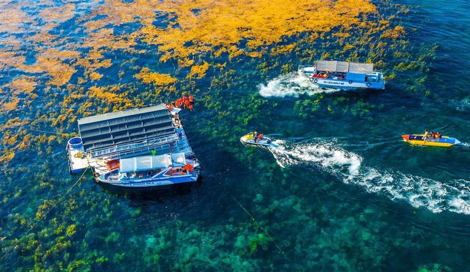 Tour trong ngày I Khám phá Hòn Khô - Lặn San hô và dùng bữa trưa hải sản tươi ngon I Quy Nhơn