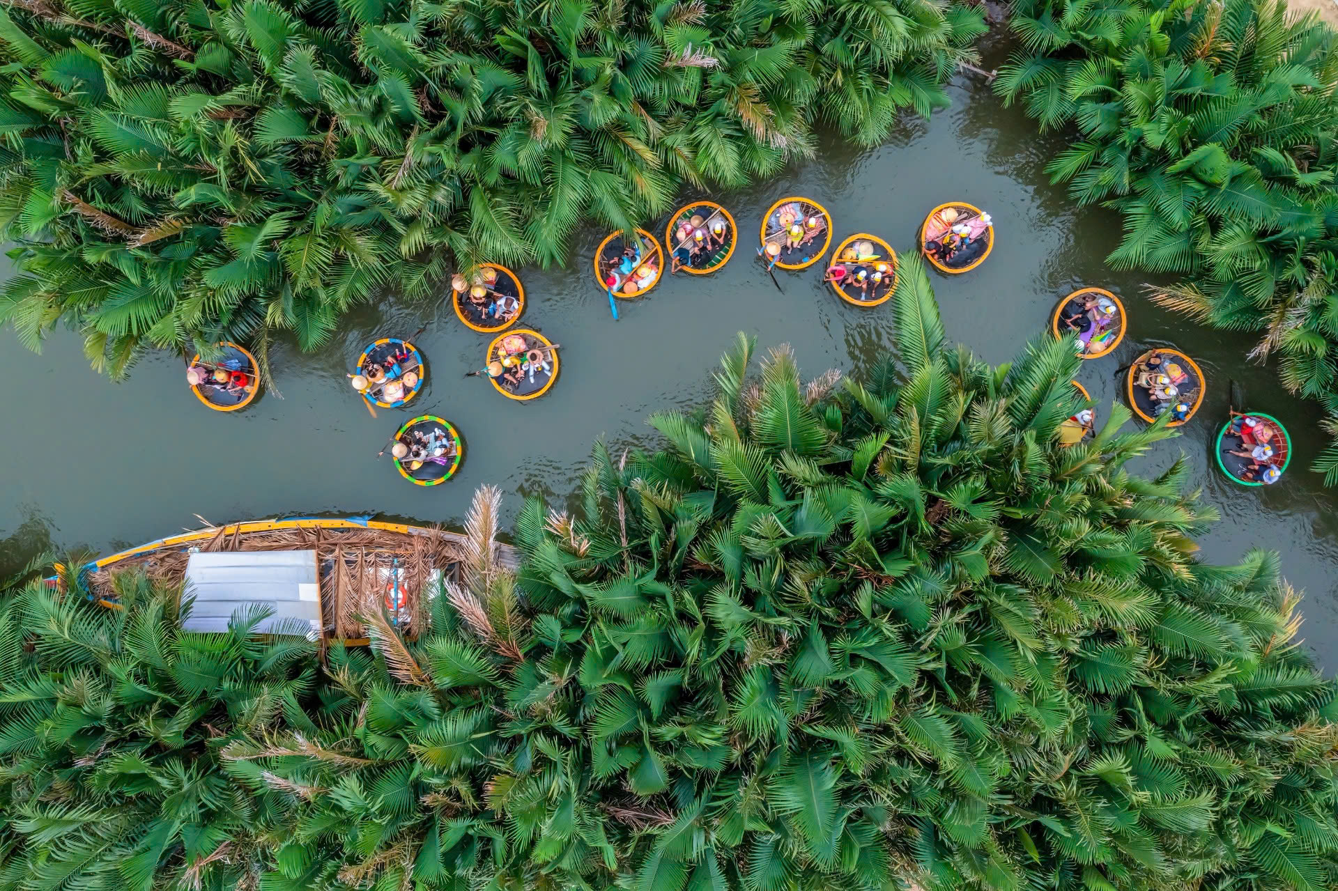 Ticket for Basket Boat Ride at Bay Mau Coconut Forest, Hoi An