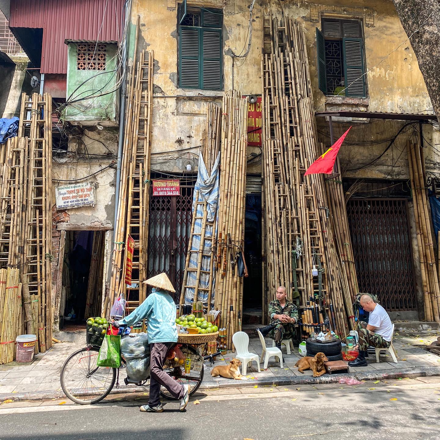 Day tour | Private tour | Explore the cultural history of Hanoi capital