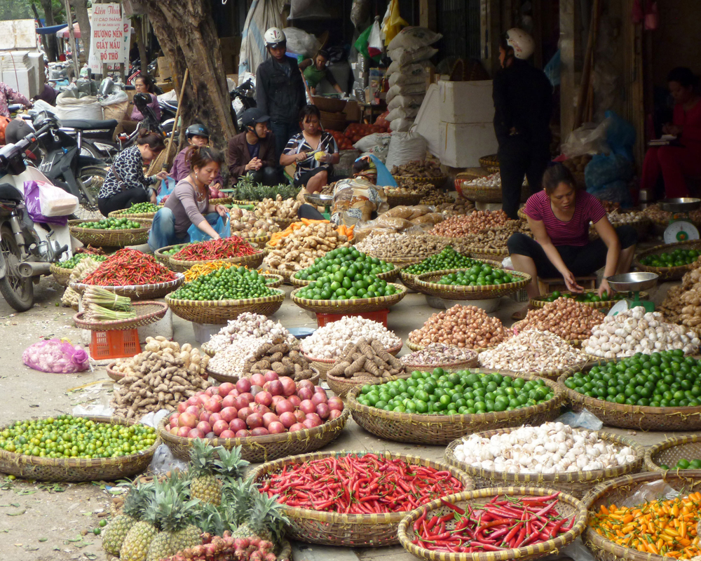 Tour Trong Ngày | Trải nghiệm lớp học nấu ăn tại Hà Nội | Vietnam