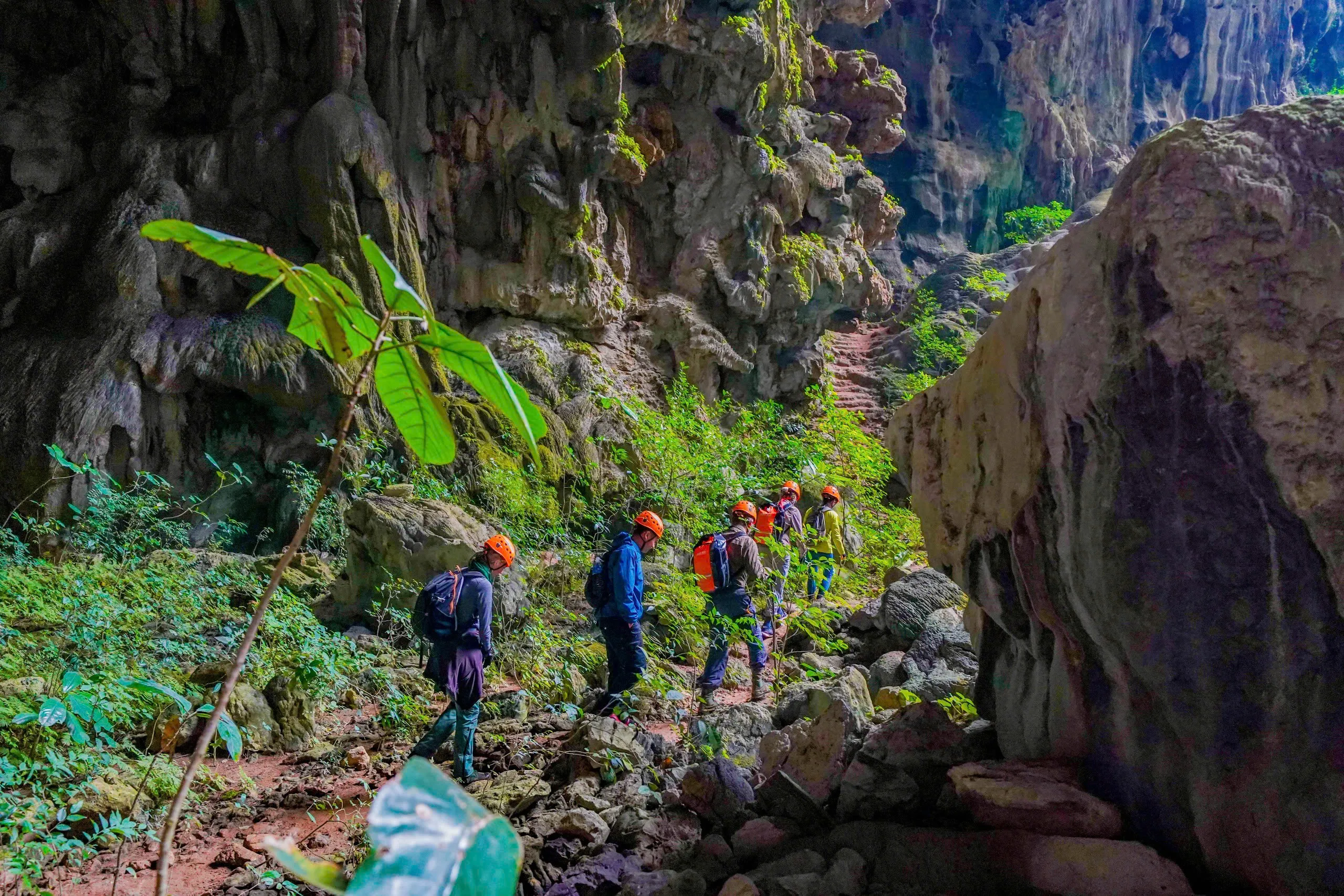 2D1N Tour | Explore the Pygmy Cave in Phong Nha - Ke Bang's Primeval Forest | Quang Binh