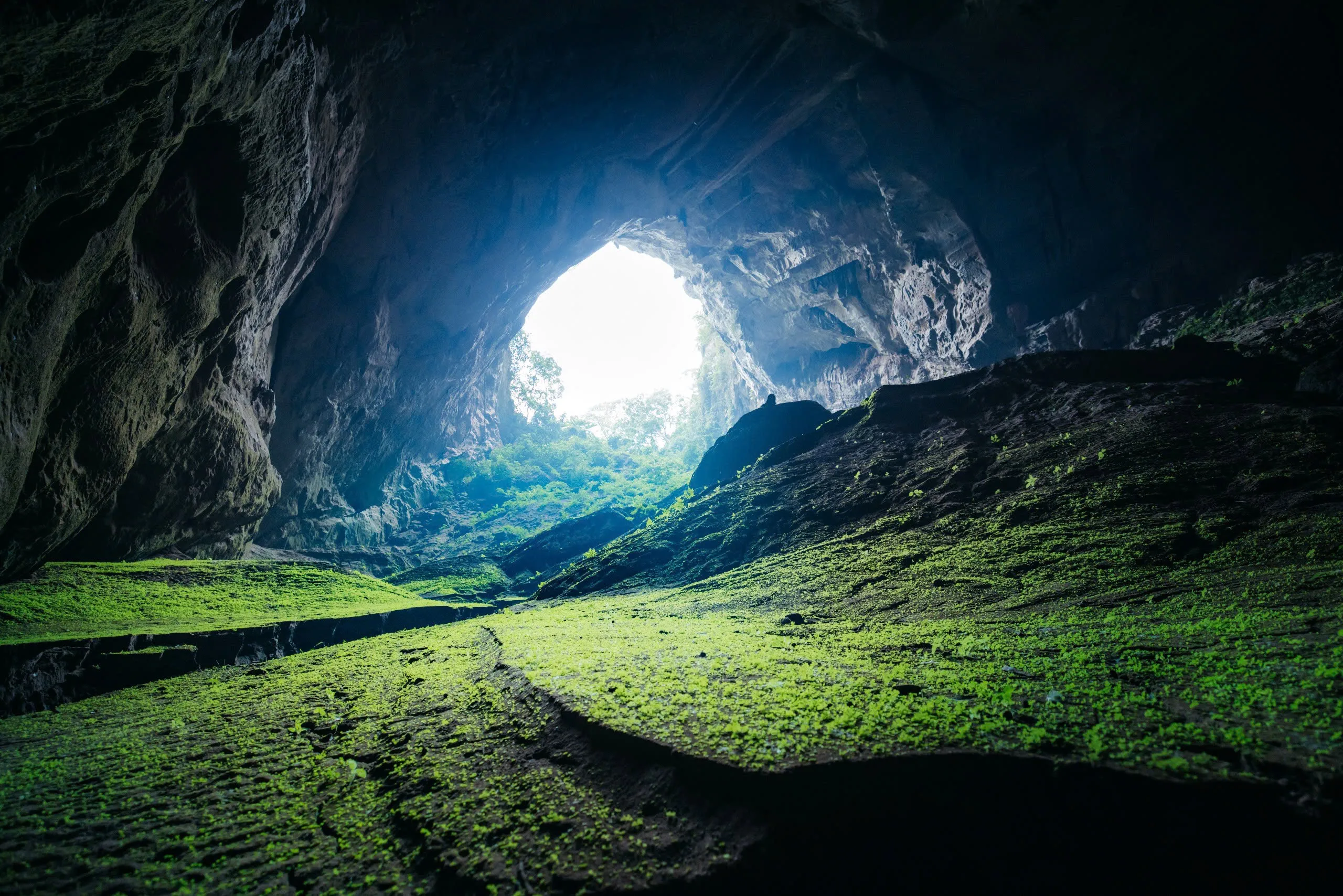 Tour 2N1Đ I Trải nghiệm khám phá Hang Pygm tại rừng nguyên sinh Phong Nha - Kẻ Bàng I Quảng Bình