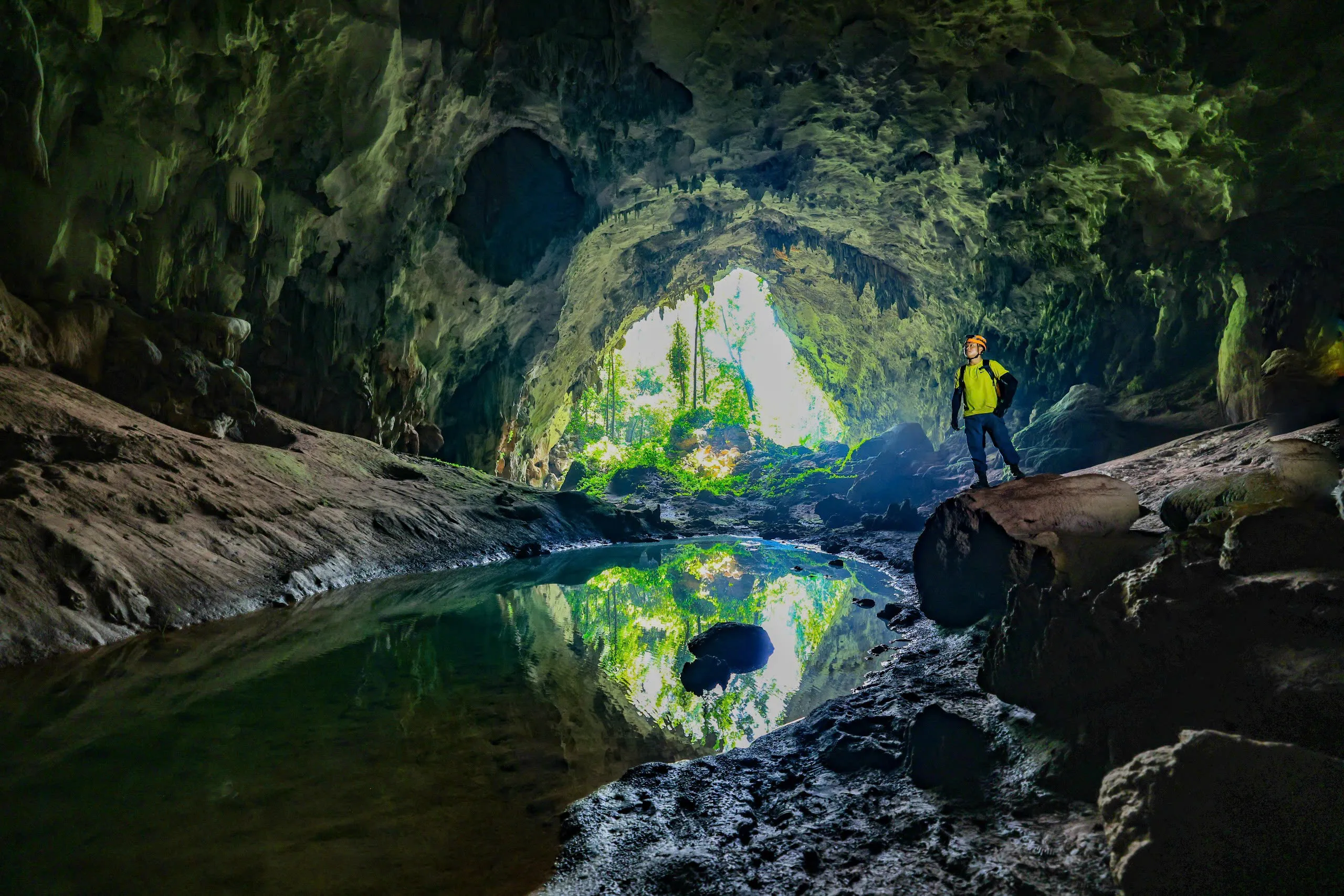 Tour 2N1Đ I Trải nghiệm khám phá Hang Pygm tại rừng nguyên sinh Phong Nha - Kẻ Bàng I Quảng Bình