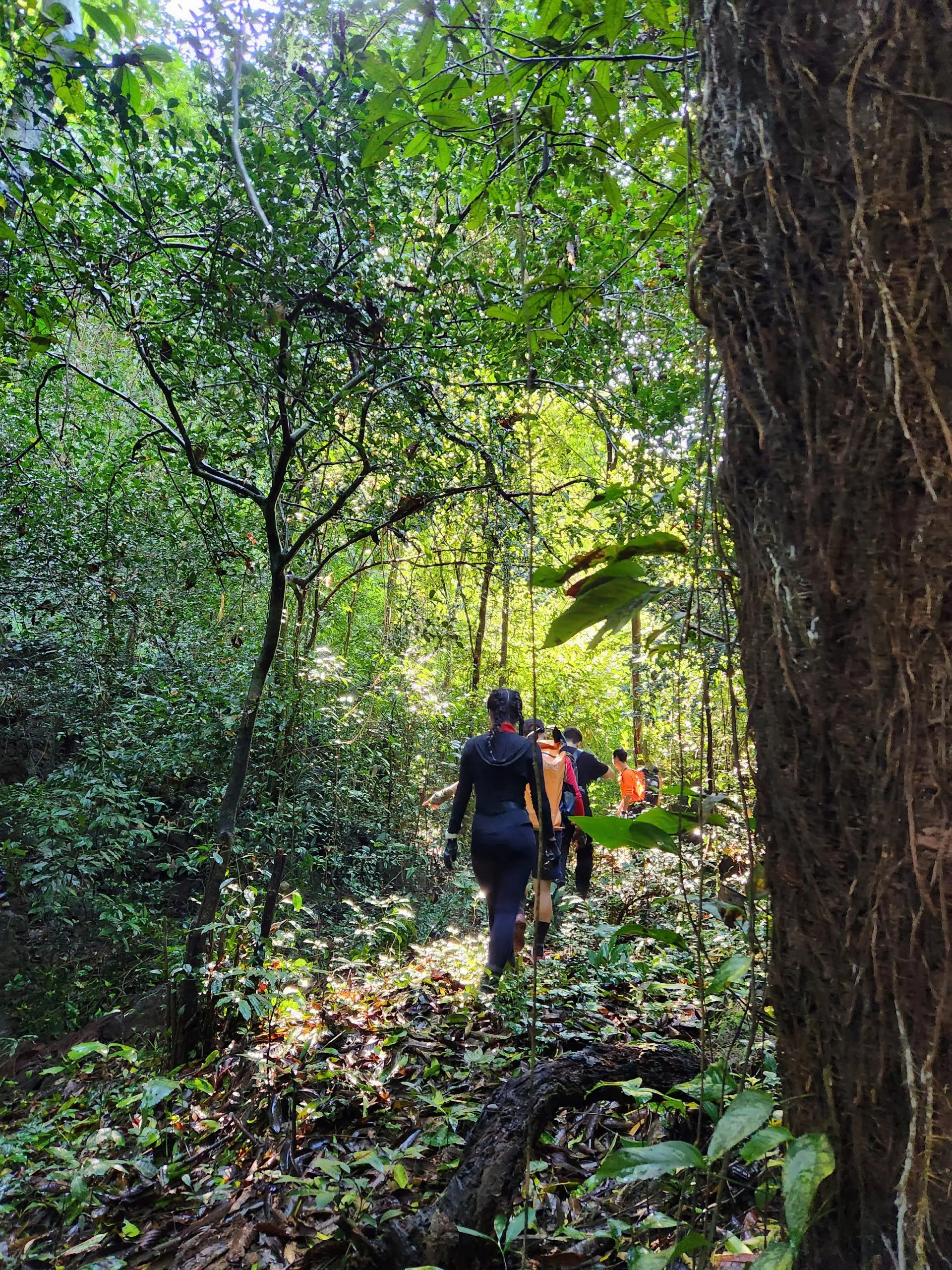 Tour 3N2Đ I Trải nghiệm khám phá hệ thống Hang Hung Thoòng tại rừng nguyên sinh Phong Nha - Kẻ Bàng I Quảng Bình