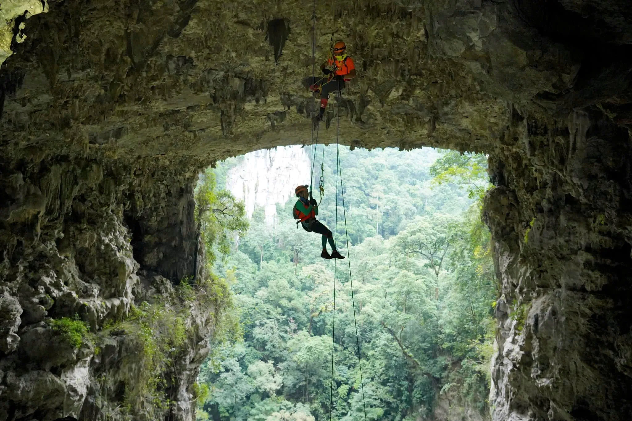 3D2N Tour | Discover the Tiger Cave System in Phong Nha - Ke Bang's Primeval Forest | Quang Binh