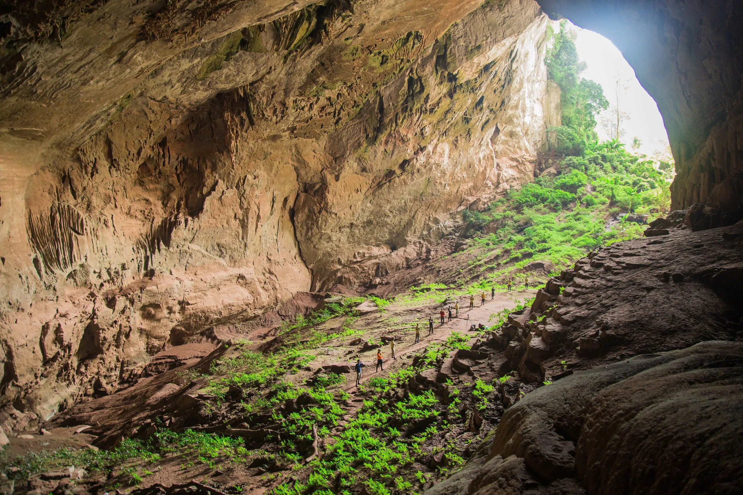 3D2N Tour | Discover the Tiger Cave System in Phong Nha - Ke Bang's Primeval Forest | Quang Binh