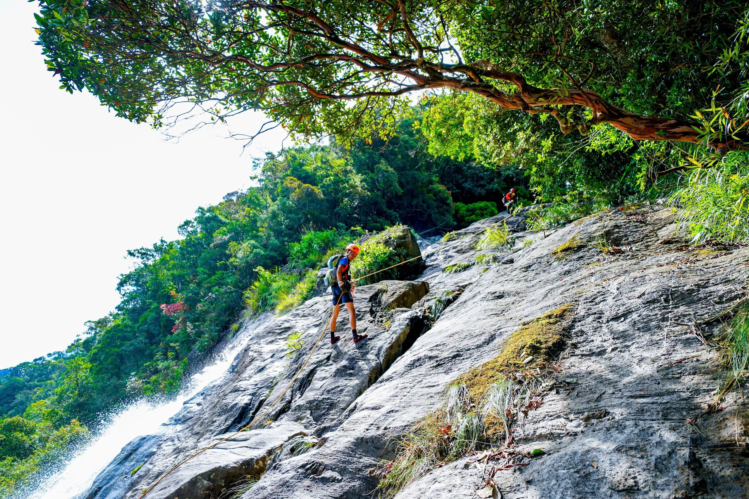 Tour 3N2Đ I Chinh phục đỉnh cao mạo hiểm Khám phá Thác Đỗ Quyên tại Vườn Quốc gia Bạch Mã  I Đà Nẵng