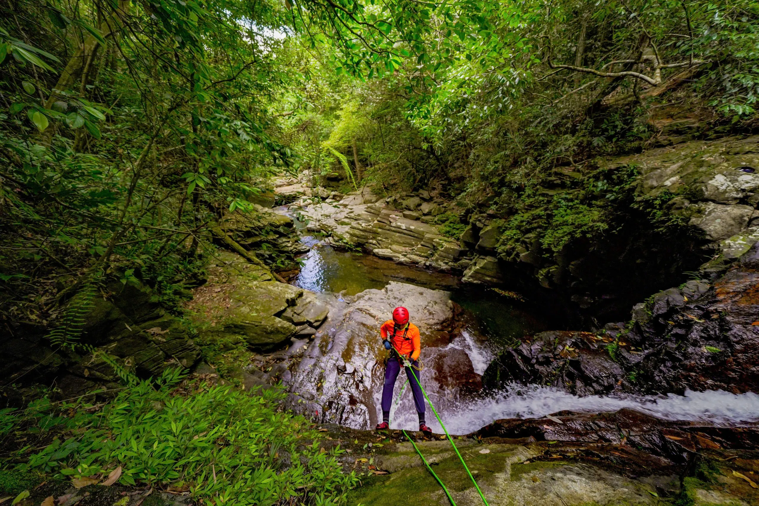 Tour 3N2Đ I Chinh phục đỉnh cao mạo hiểm Khám phá Thác Đỗ Quyên tại Vườn Quốc gia Bạch Mã  I Đà Nẵng