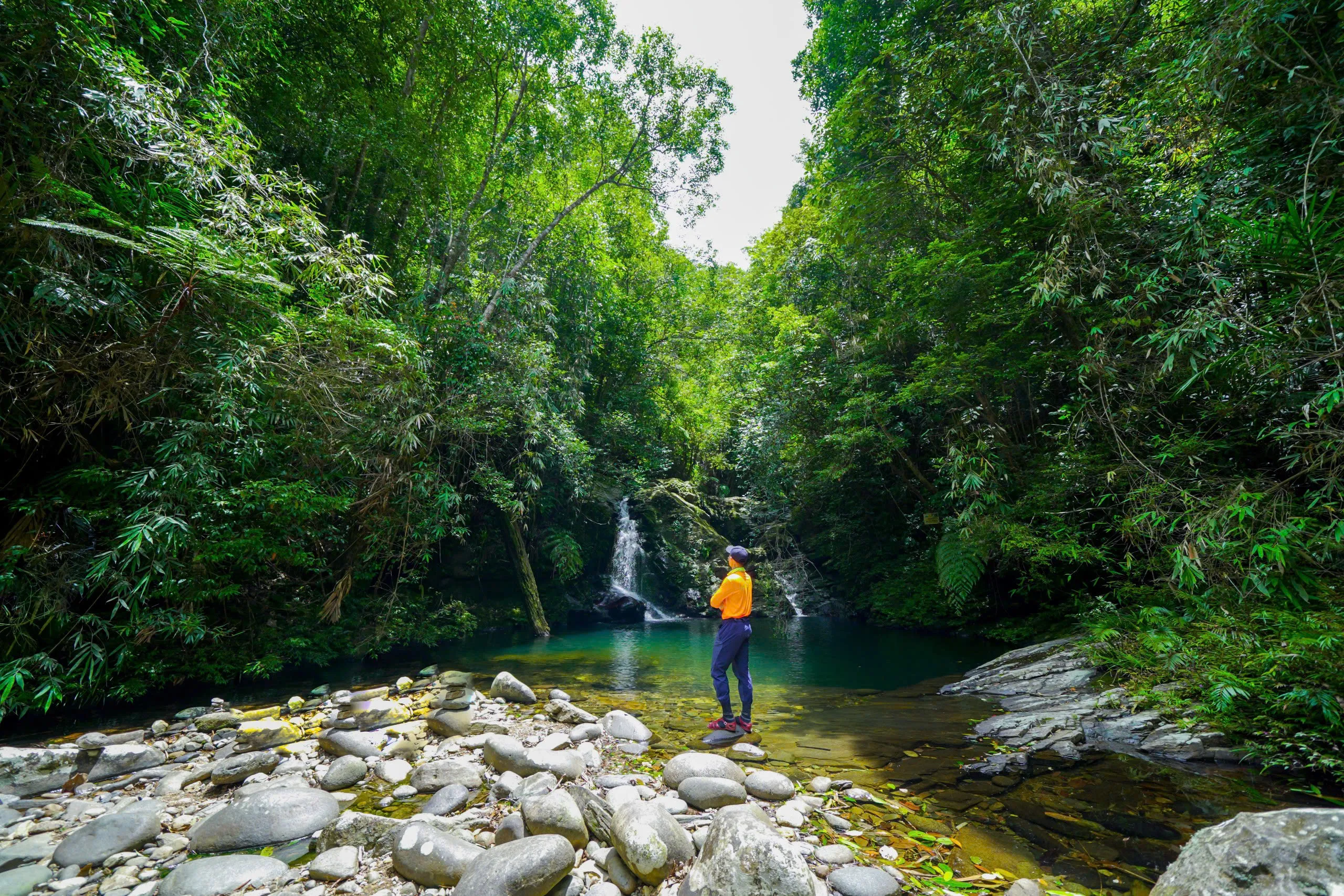 Tour 3N2Đ I Chinh phục đỉnh cao mạo hiểm Khám phá Thác Đỗ Quyên tại Vườn Quốc gia Bạch Mã  I Đà Nẵng