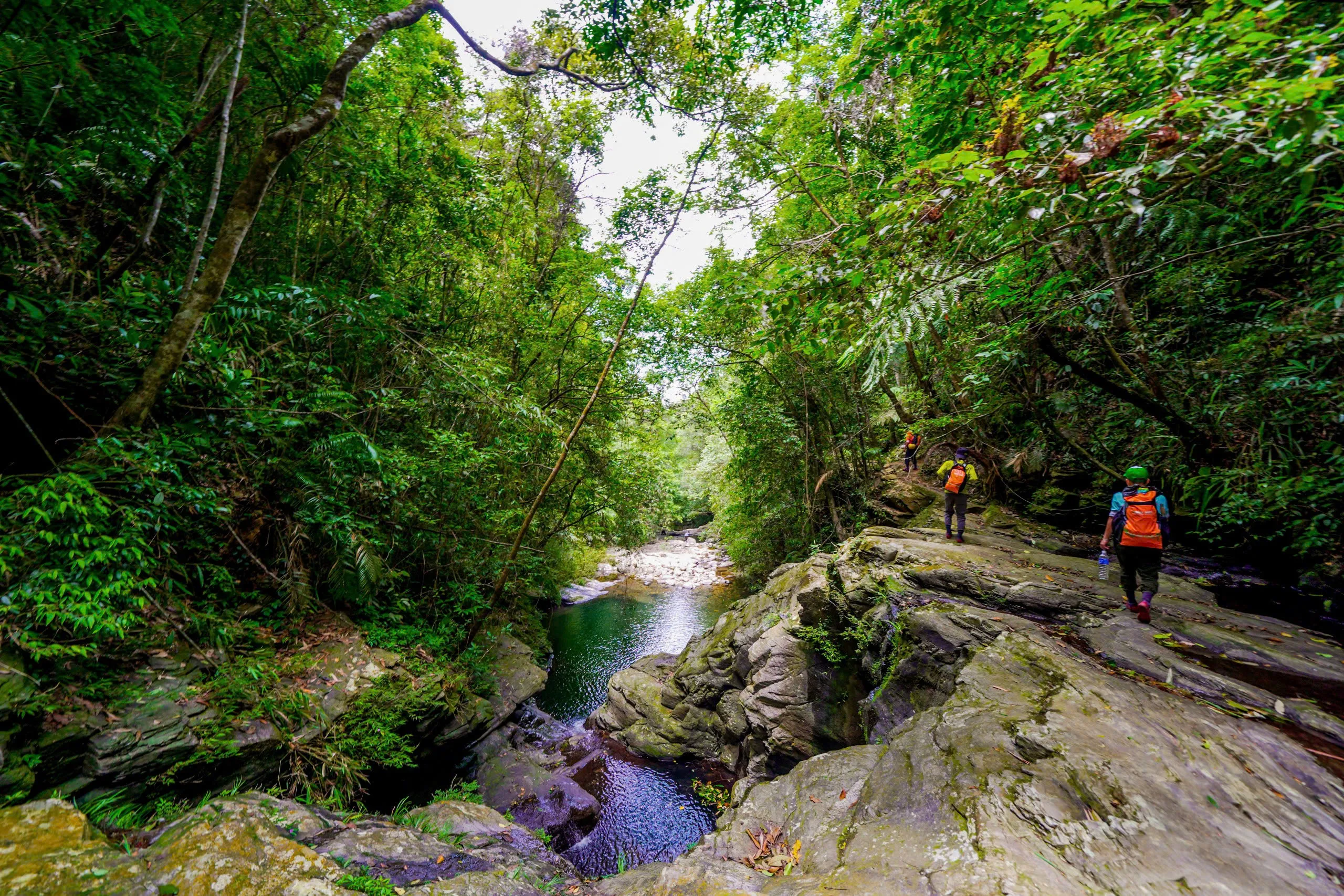 Tour 3N2Đ I Chinh phục đỉnh cao mạo hiểm Khám phá Thác Đỗ Quyên tại Vườn Quốc gia Bạch Mã  I Đà Nẵng