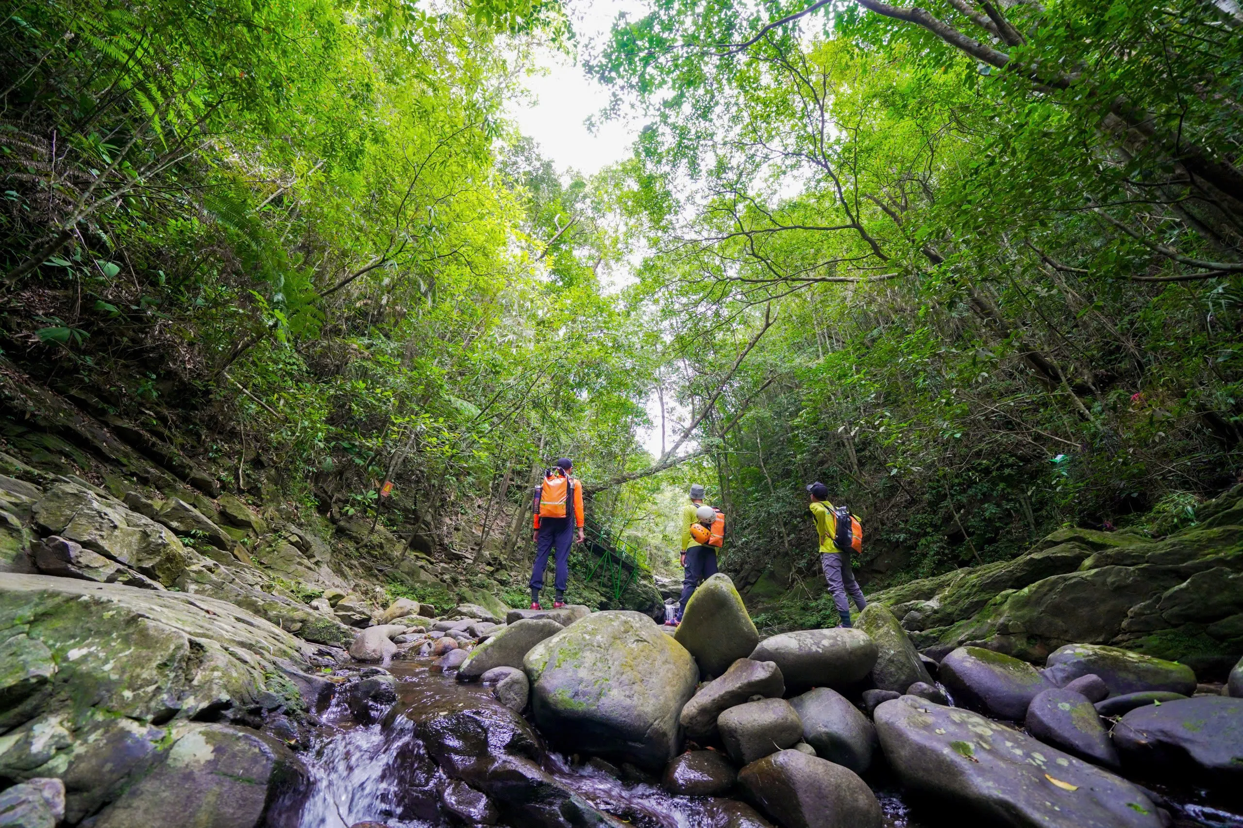 Tour 3N2Đ I Chinh phục đỉnh cao mạo hiểm Khám phá Thác Đỗ Quyên tại Vườn Quốc gia Bạch Mã  I Đà Nẵng