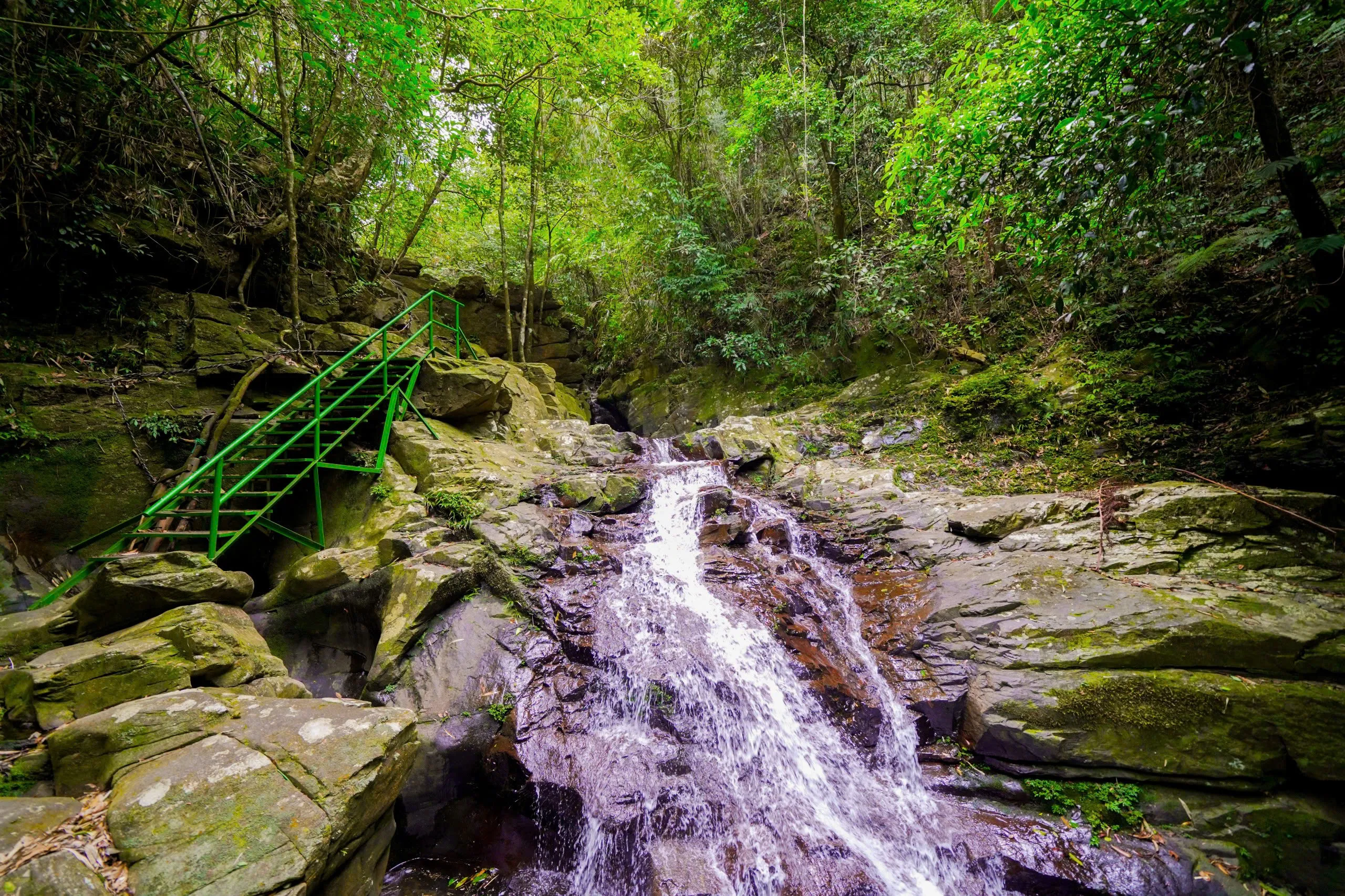 Tour 3N2Đ I Chinh phục đỉnh cao mạo hiểm Khám phá Thác Đỗ Quyên tại Vườn Quốc gia Bạch Mã  I Đà Nẵng