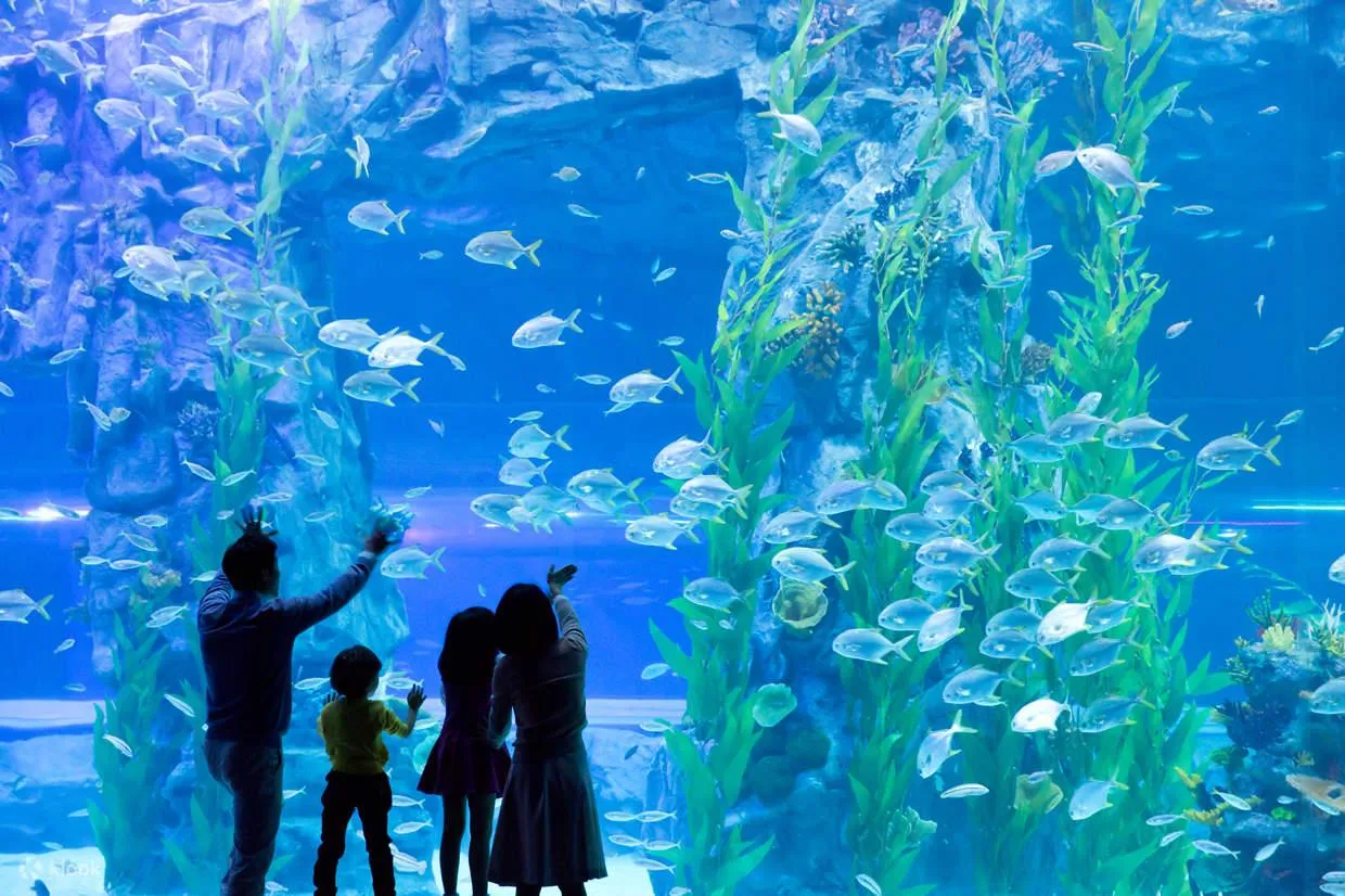 Lotte World Aquarium Ticket I West Lake | Hanoi