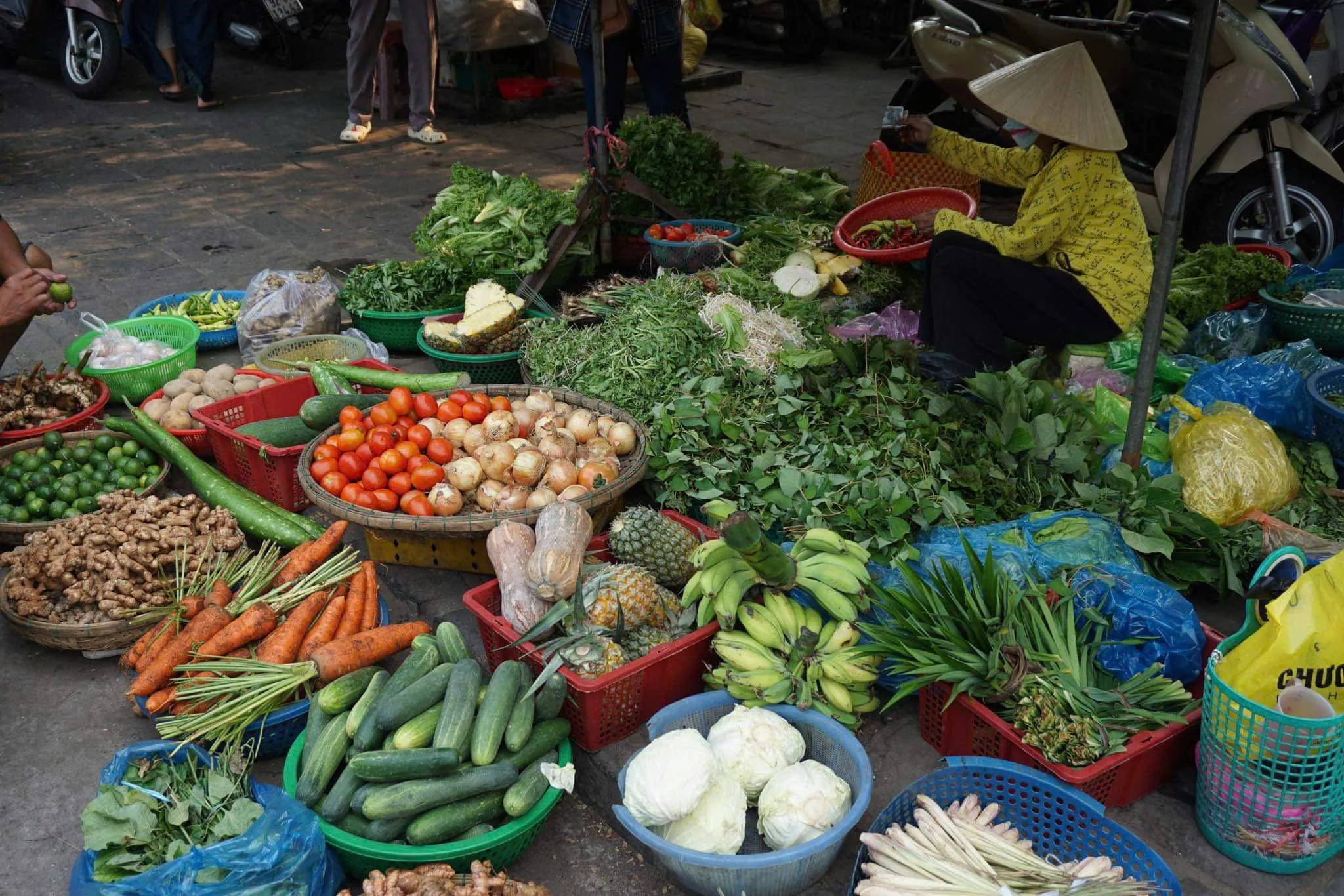 Tour trong ngày I Tour dạy nấu ăn nửa ngày tại Hội An I Hội An