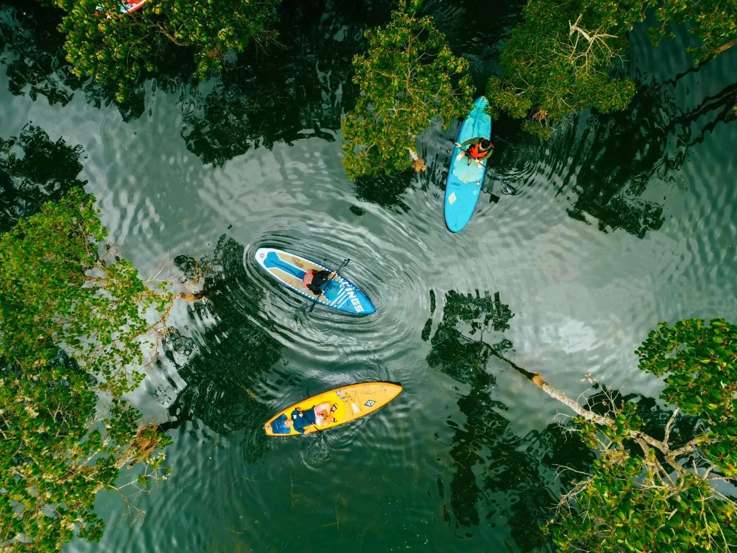 Day Tour | SUP Adventure on Tuyen Lam Lake | Da Lat