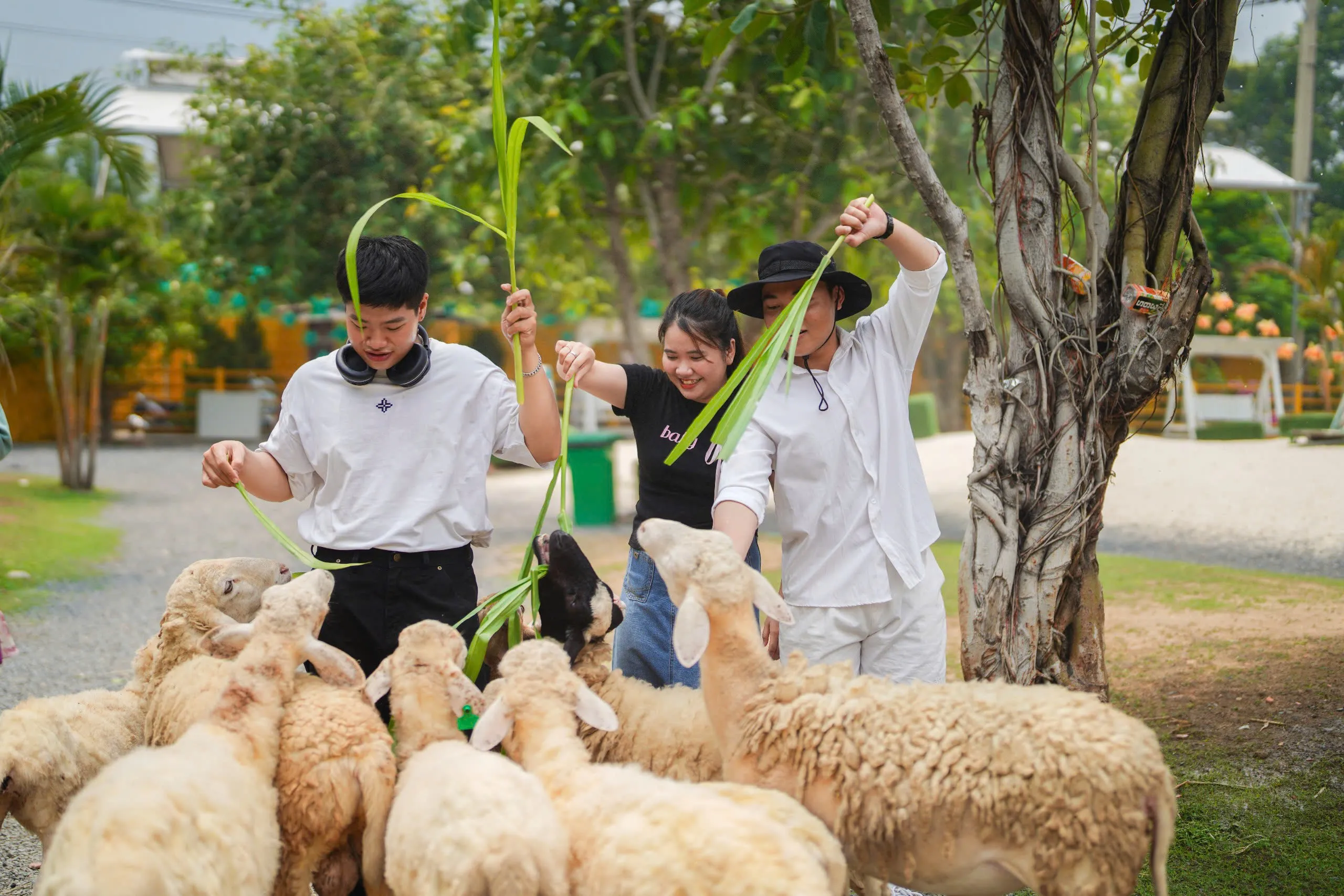 Vé Công Viên Văn Hoá Suối Tiên I Thành phố Hồ Chí Minh