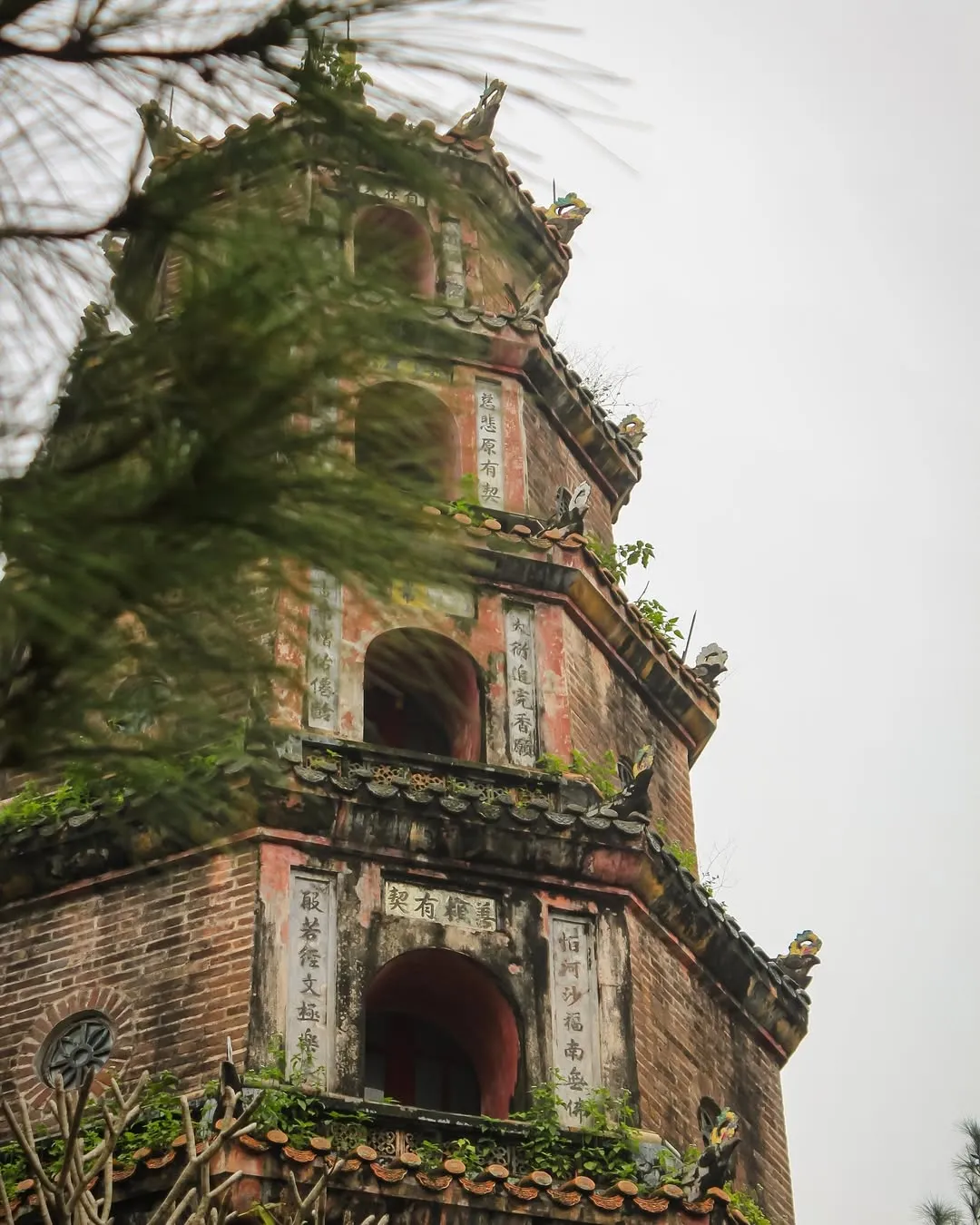 Day Tour | "Net Zero" Travel Experience in Hue | Hue