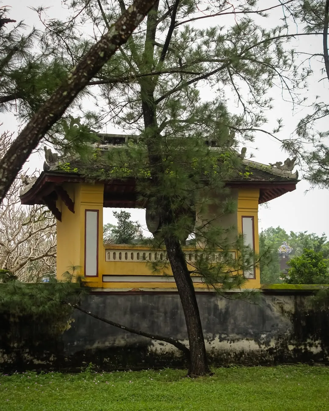 Day Tour | "Net Zero" Travel Experience in Hue | Hue