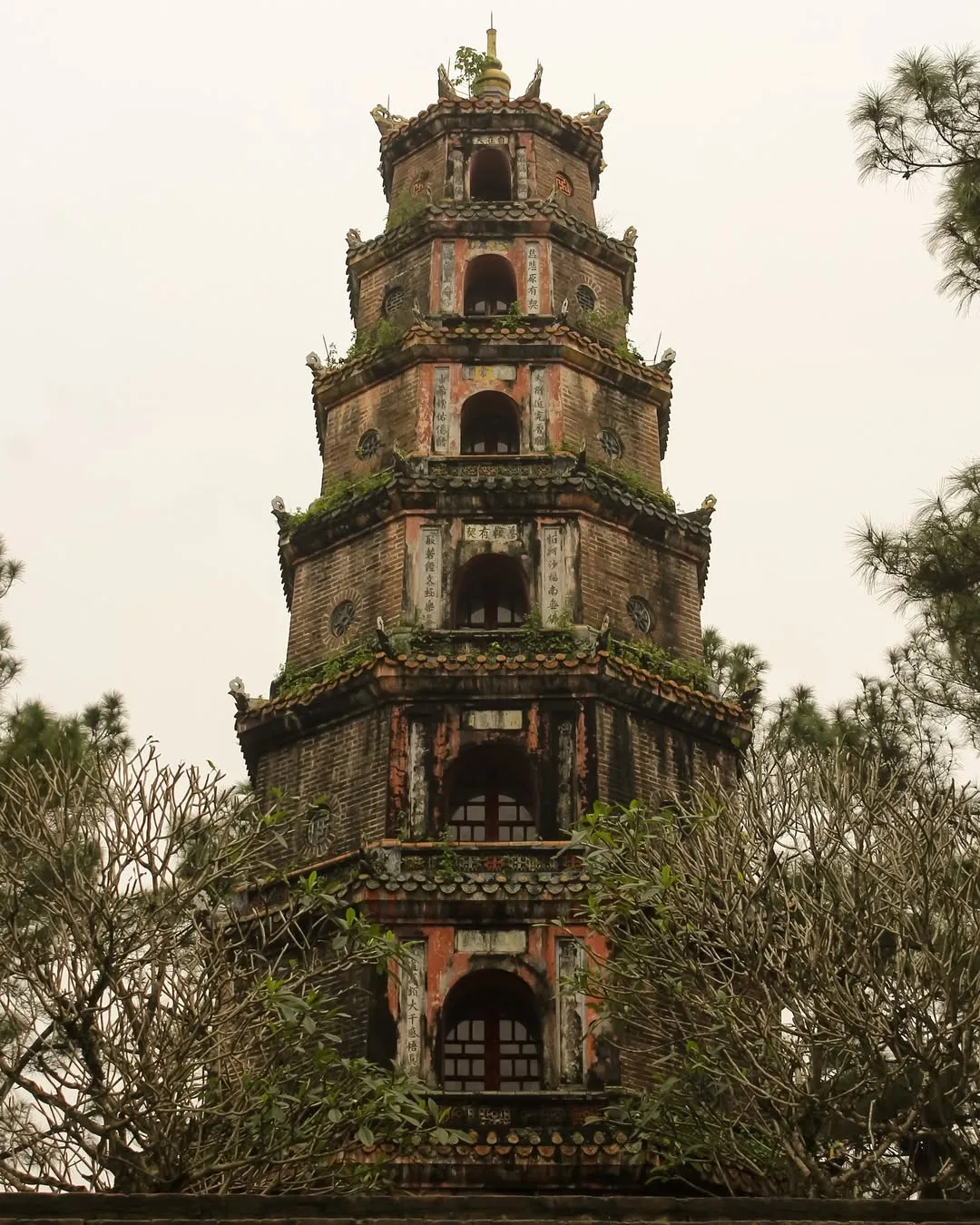 Day Tour | "Net Zero" Travel Experience in Hue | Hue