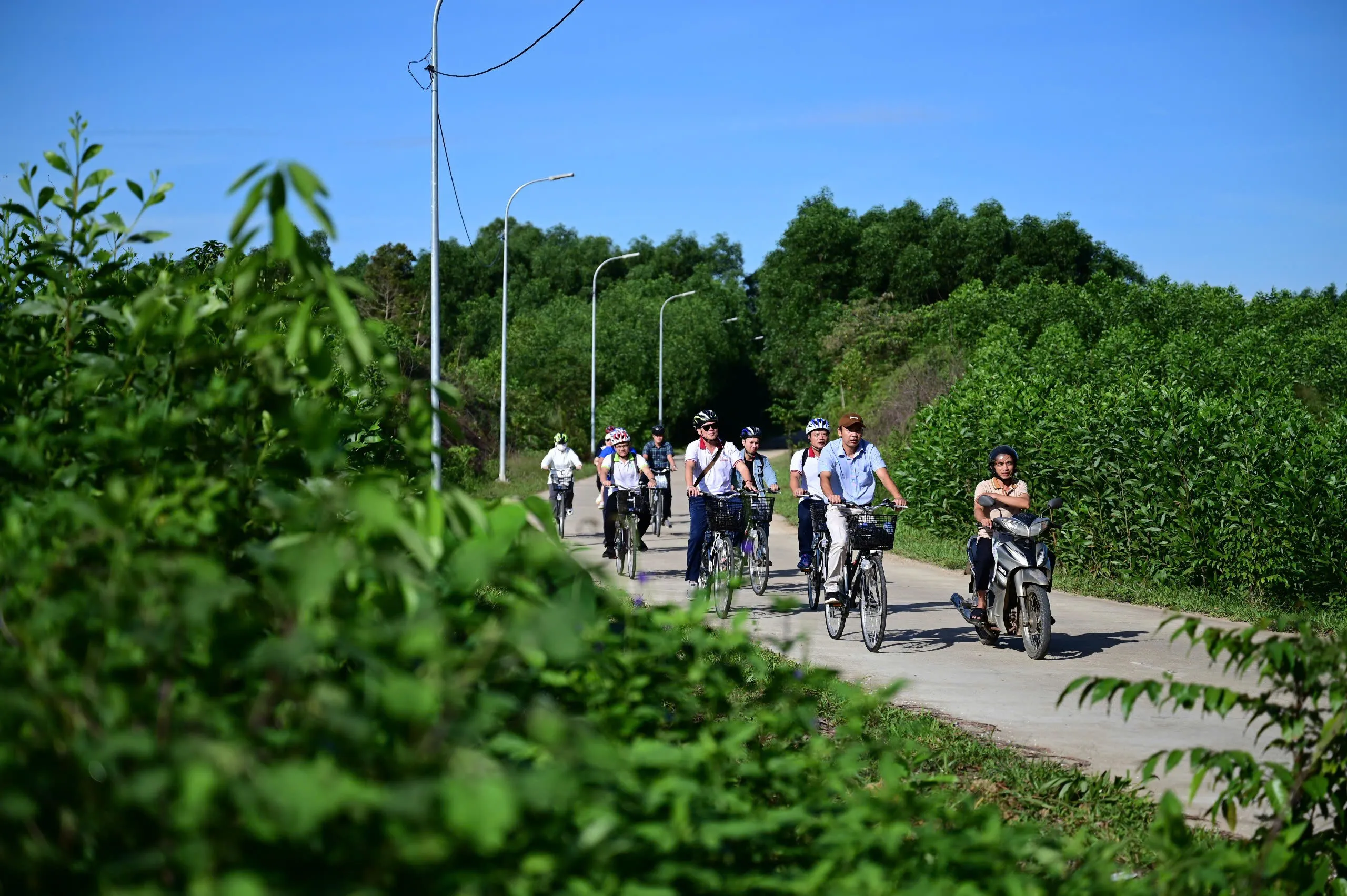 Day Tour | Bicycle Tour to Explore the Beauty of Cam Thanh Coconut Forest and Farming Experience at Tra Que Vegetable Village | Da Nang