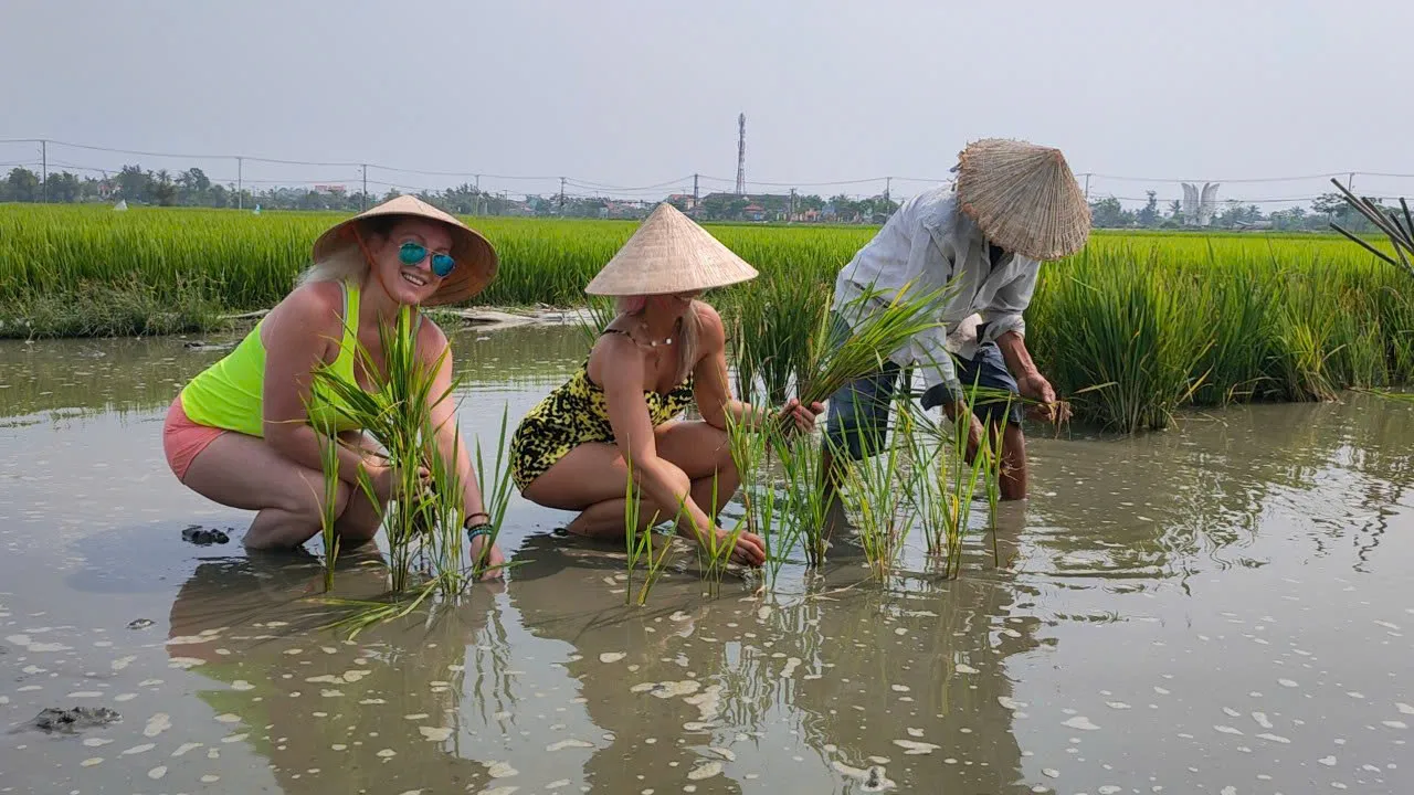 Day Tour | Bike Tour, Buffalo Riding Experience, Traditional Agricultural Life Experience and Fishing | Da Nang