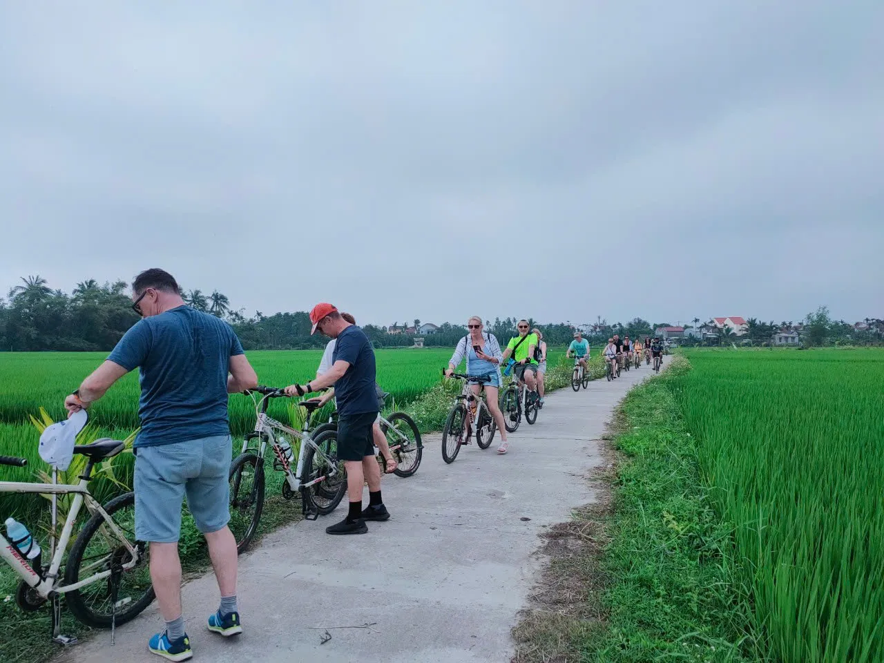 Day Tour | Bike Tour, Buffalo Riding Experience, Traditional Agricultural Life Experience and Fishing | Da Nang