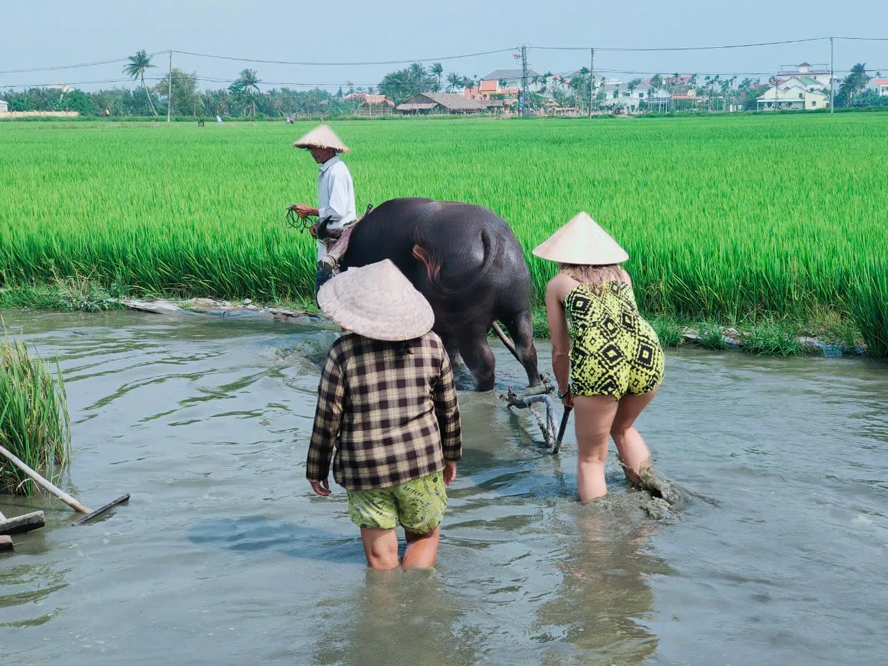 Day Tour | Bike Tour, Buffalo Riding Experience, Traditional Agricultural Life Experience and Fishing | Da Nang