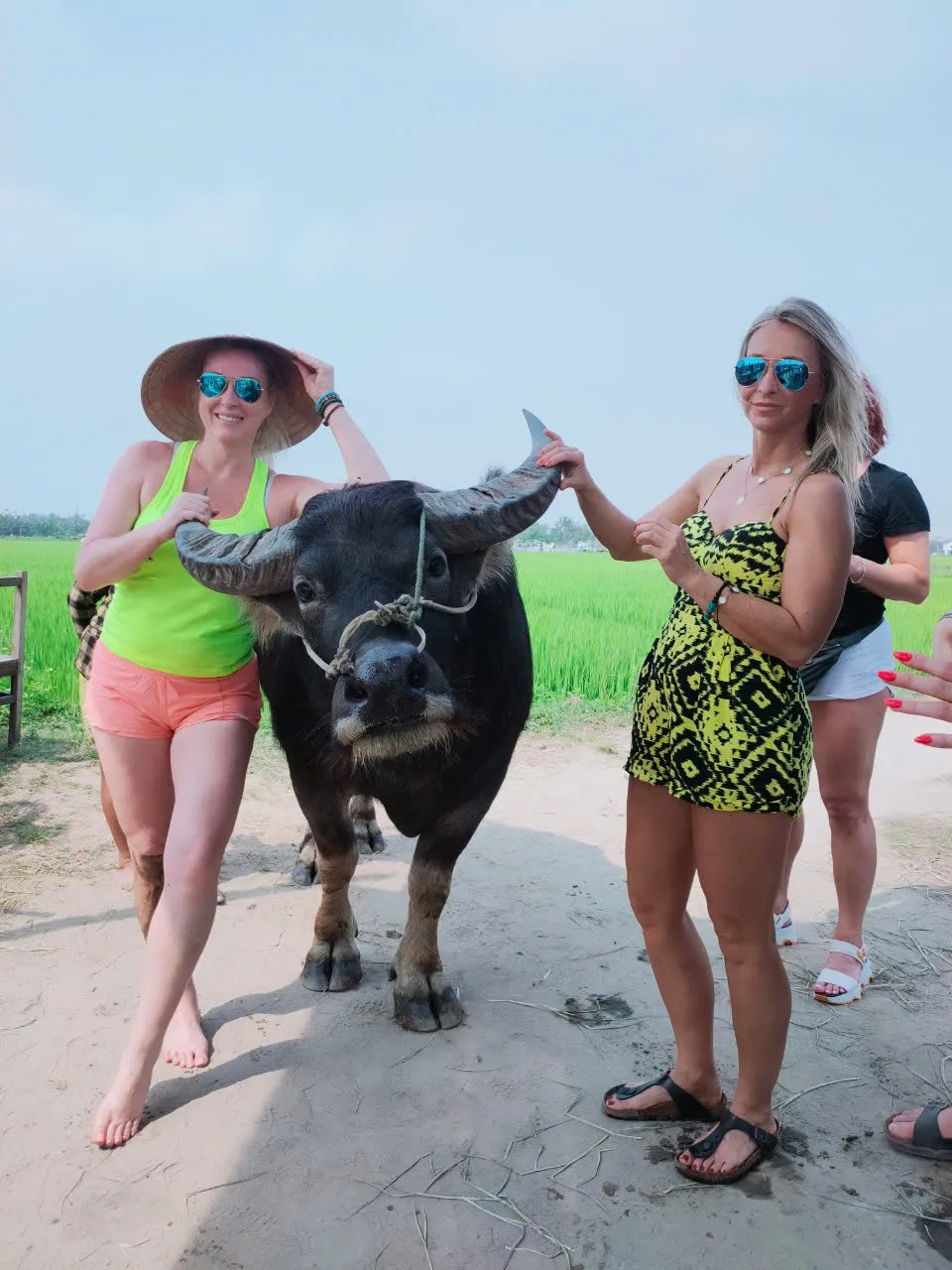 Day Tour | Bike Tour, Buffalo Riding Experience, Traditional Agricultural Life Experience and Fishing | Da Nang