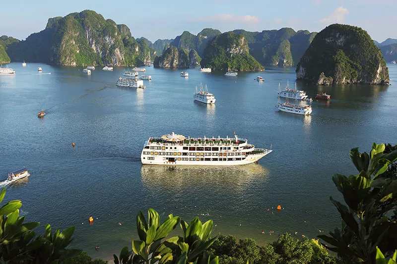 2D1M | Halong Bay 5-Star Starlight Cruise Getaway