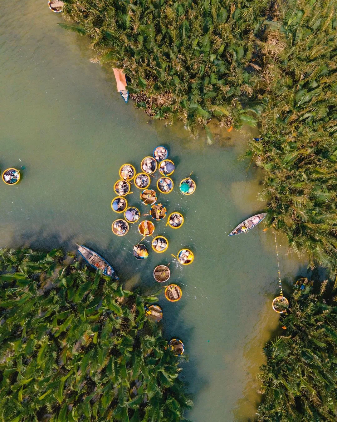 Day Tour I Exploring Cam Thanh Coconut Village | Depart from Hoi An 