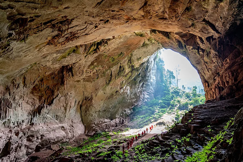 Day Tour | Paradise Cave Exploration in Quang Binh (From Hue)