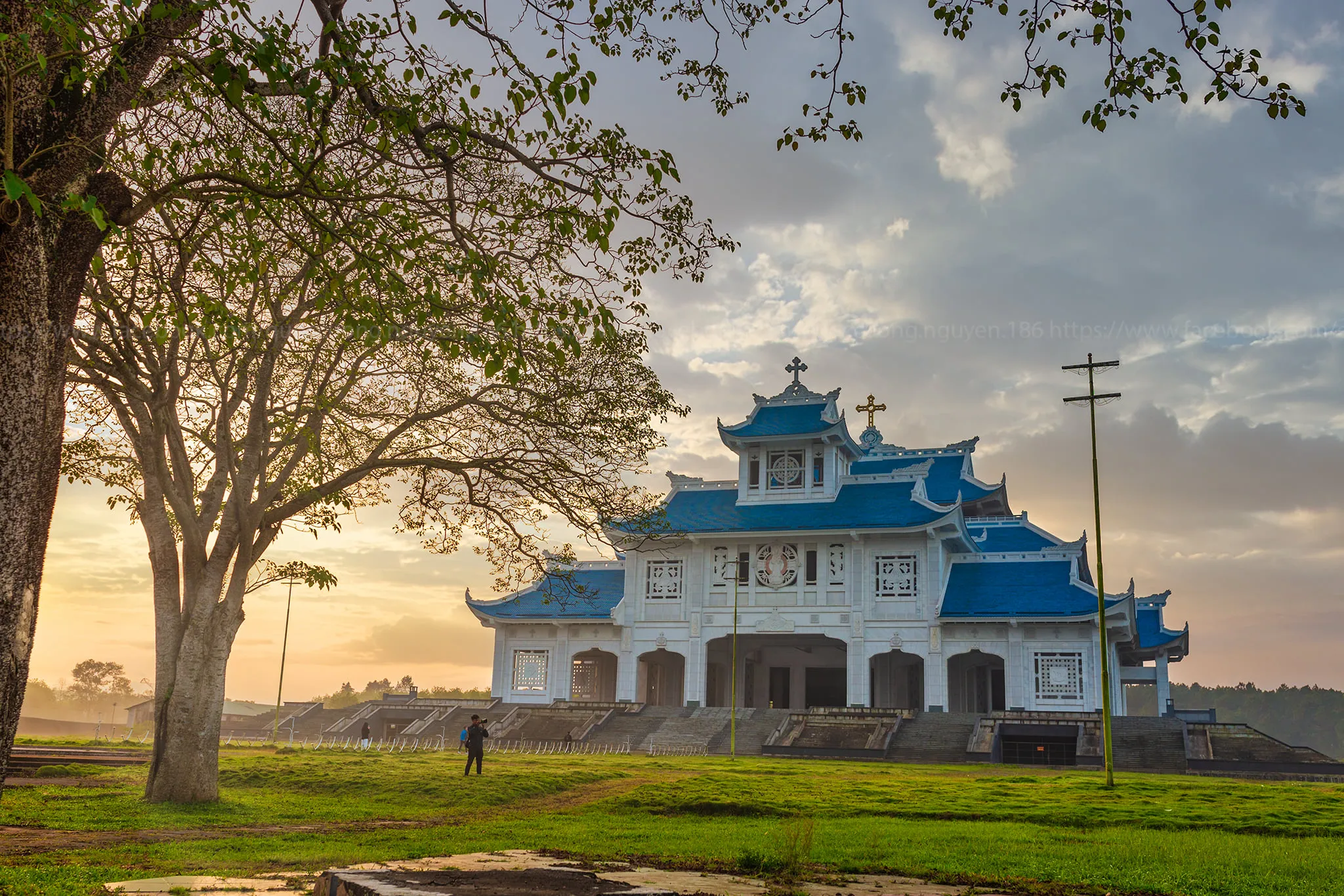 Day Tour | Paradise Cave Exploration in Quang Binh (From Hue)