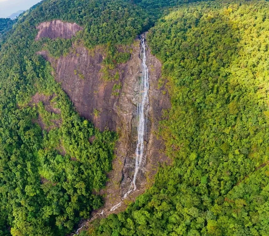 Tour trong ngày | Trải nghiệm trekking vườn quốc gia Bạch Mã khởi hành từ Huế/Đà Nẵng