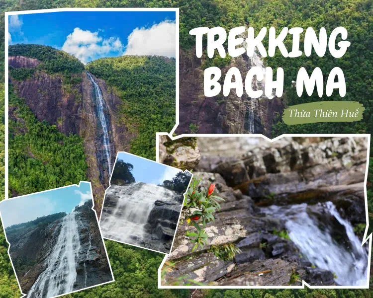 Day Tour | Bach Ma National Park Trekking Experience (From Hue/Da Nang