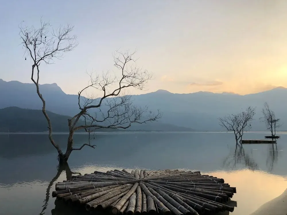 Day Tour | Explore the Poetic City of Hue with Flexible Departure Points